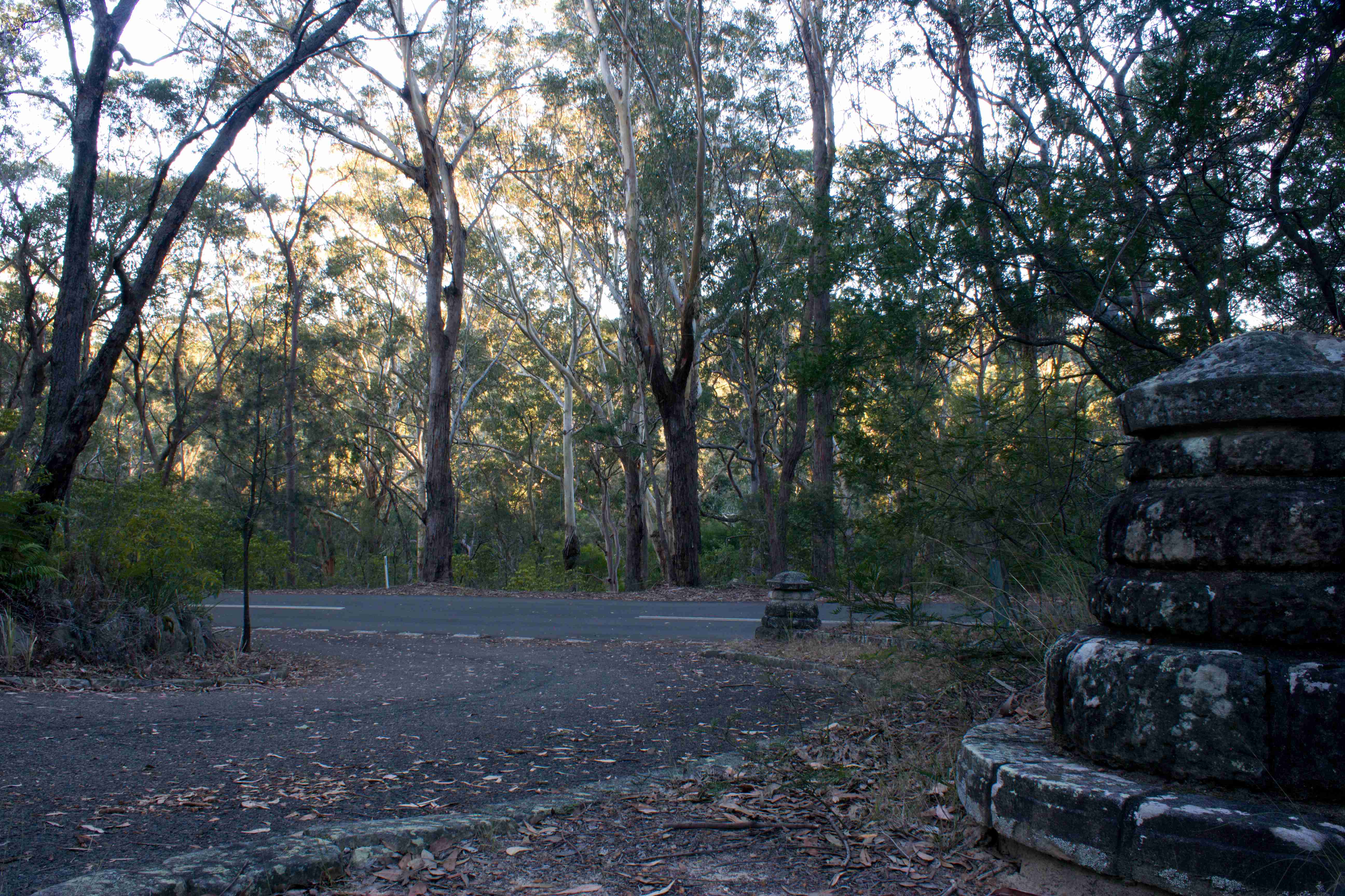 Lane Cove National Park, NSW